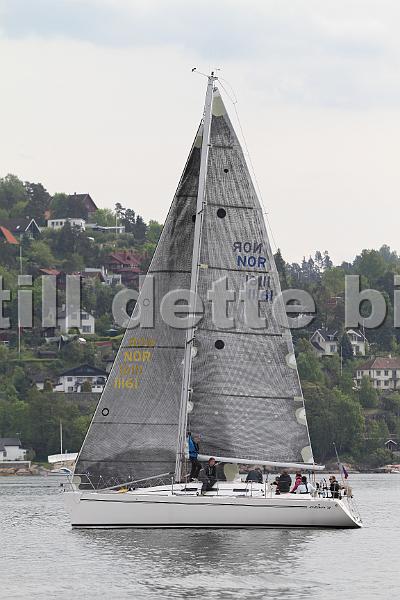 Bundefjorden2012 019.jpg